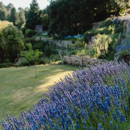 Casa Agricola Da Levada Eco Village 4*