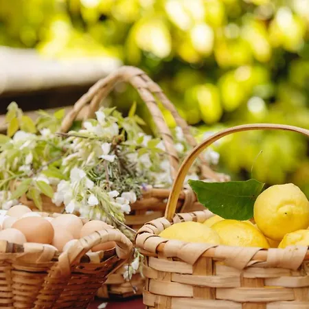 Casa Agricola Da Levada Eco Village 招待所 4*