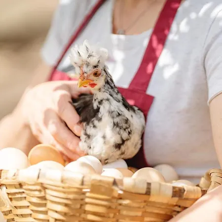 Casa Agricola Da Levada Eco Village Gasthuis Vila Real