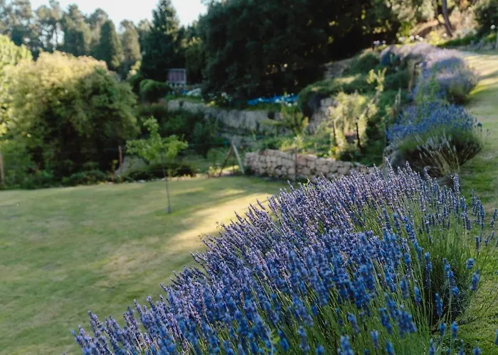 Casa Agricola Da Levada Eco Village 4*