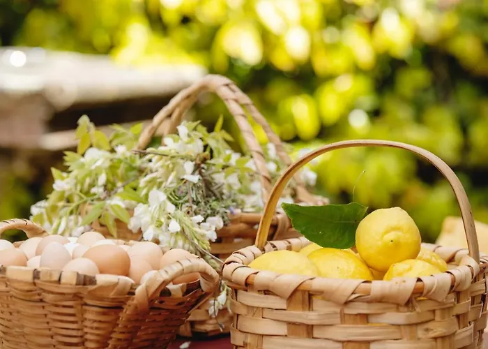 Casa Agricola Da Levada Eco Village 게스트하우스 4*