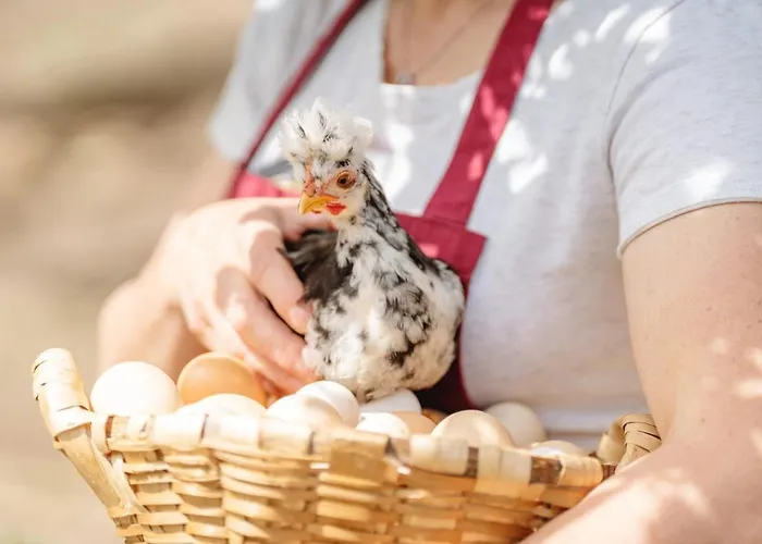 Casa Agricola Da Levada Eco Village Maison d'hôtes Vila Real