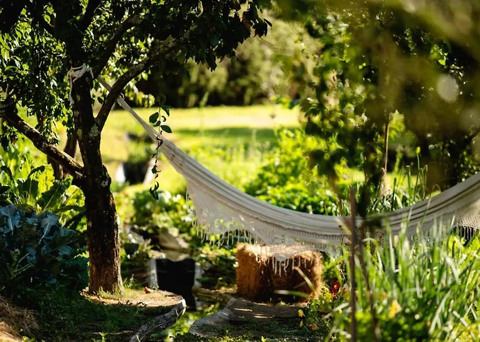 게스트하우스 Casa Agricola Da Levada Eco Village