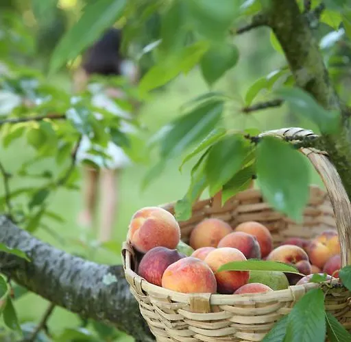 Casa Agricola Da Levada Eco Village Gasthof Vila Real