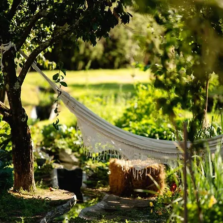 بيت ضيافة Casa Agricola Da Levada Eco Village